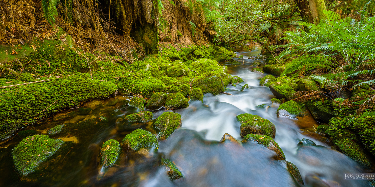 photograph of Groom River, Blue Tier